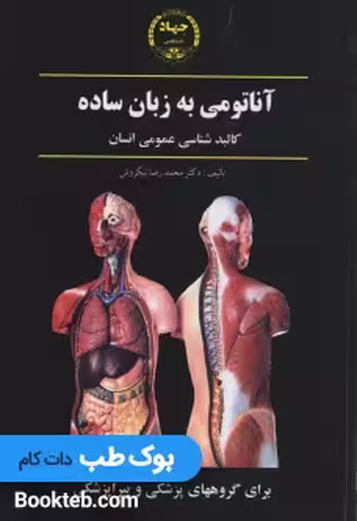 آناتومی به زبان ساده