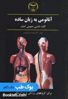 آناتومی به زبان ساده
