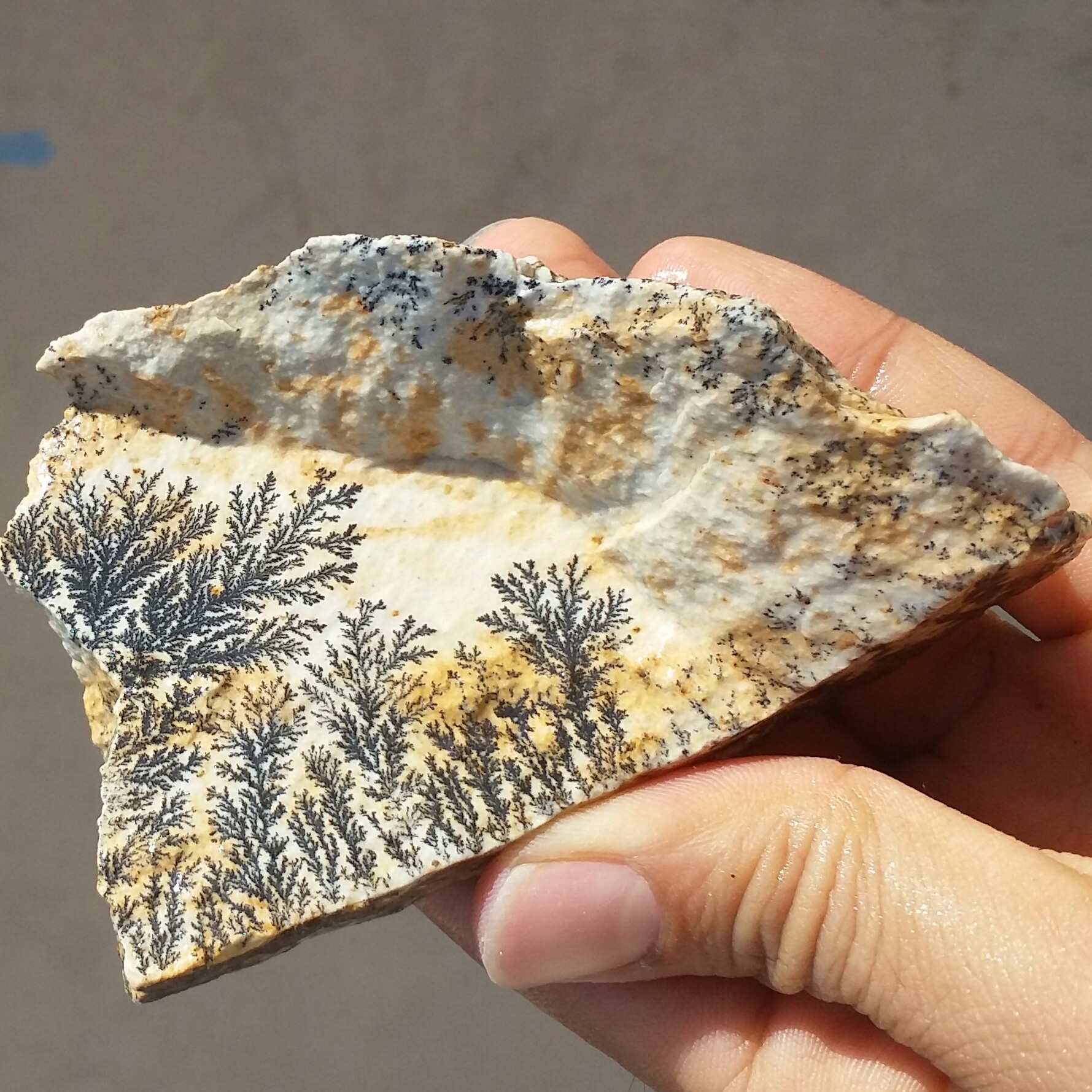 سنگ راف 100 در 100 طبیعی شجر دندریتی یا فسیلی درشت محشر  خاص شاهکار خلقت
شجر واضح خاص
تصویر از 2 طرف نمونه
کد 11036