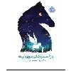 کتاب راز اسب های توی آینه اثر مگان شپرد انتشارات پرتقال