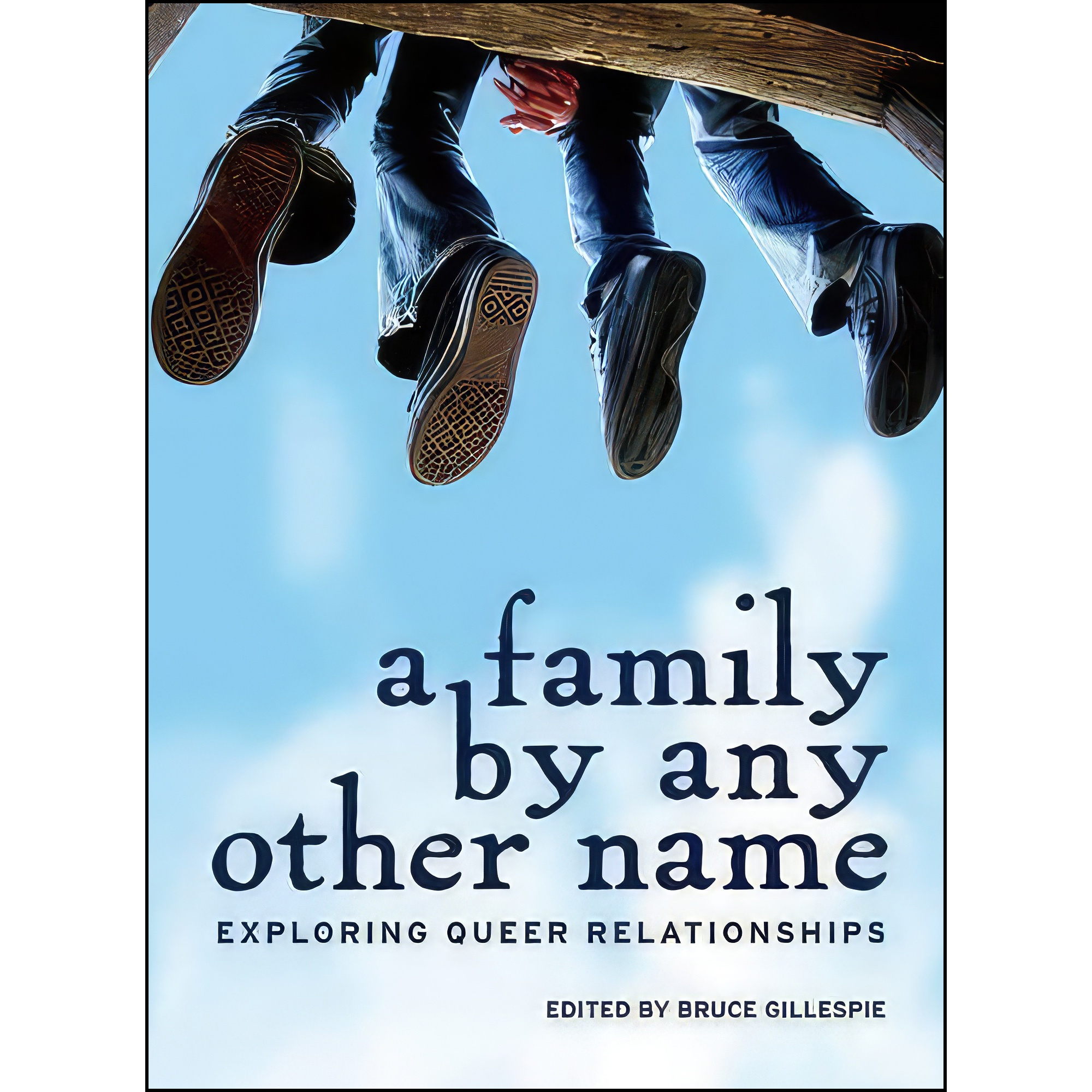 کتاب A Family by Any Other Name اثر Nathan Burgoine and Keph Senett انتشارات Touchwood Editions