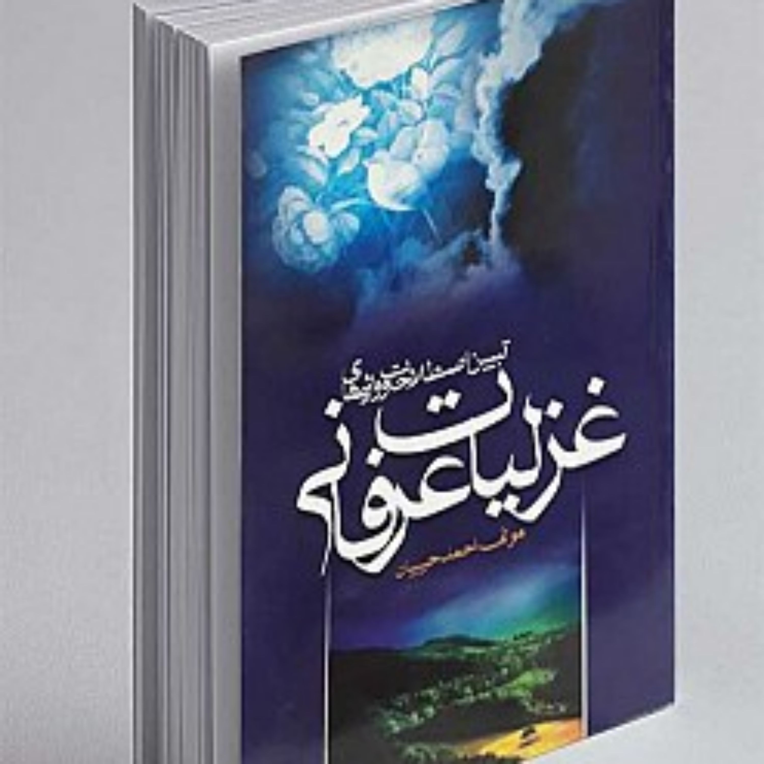 تبیین اصطلاحات و واژه های غزلیات عرفانی
