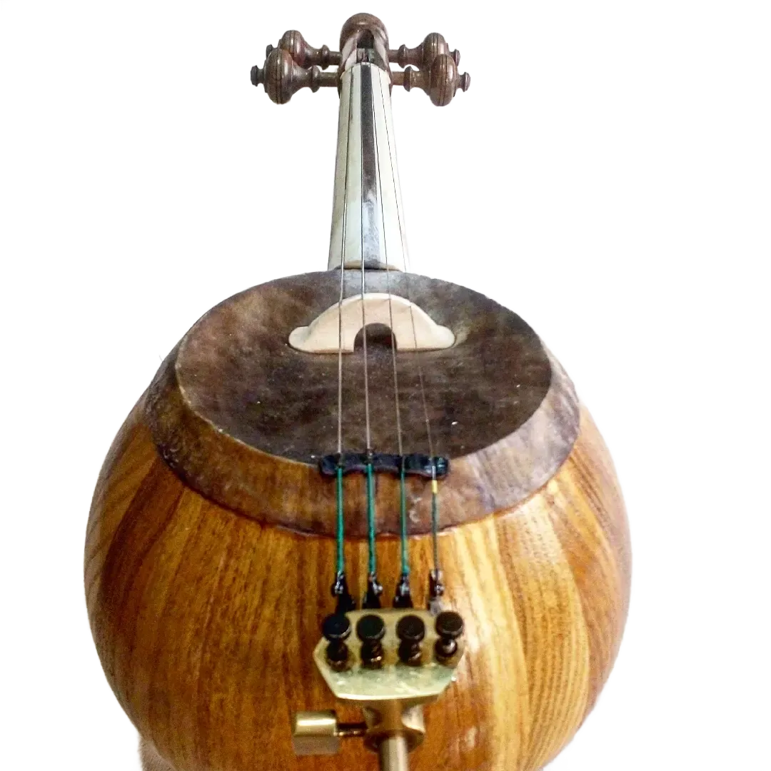 کمانچه حرفه ای میلاد کاید
