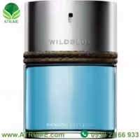 عطر ادکلن بنانا ریپابلیک ویلد بلو 100 میل مردانه