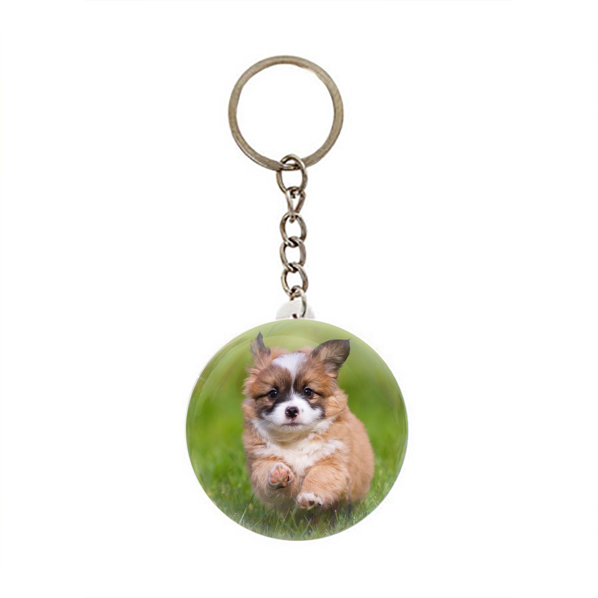 جاکلیدی عرش مدل سگ بامزه کد Asj1530