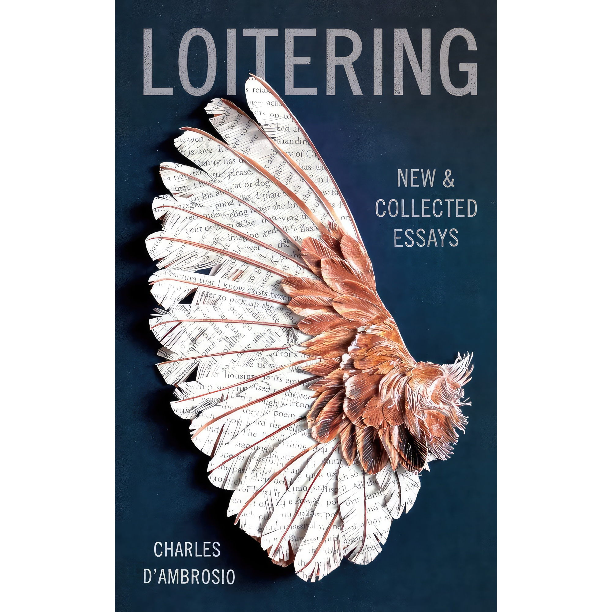 کتاب Loitering اثر Charles DAmbrosio انتشارات Tin House Books
