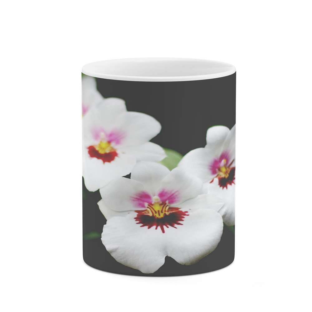 ماگ کاکتی طرح گل مدل mgs16665