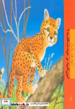 قیمت و خرید کتاب این کیه و چه شکلیه اثر رها زادمهر | ایده بوک