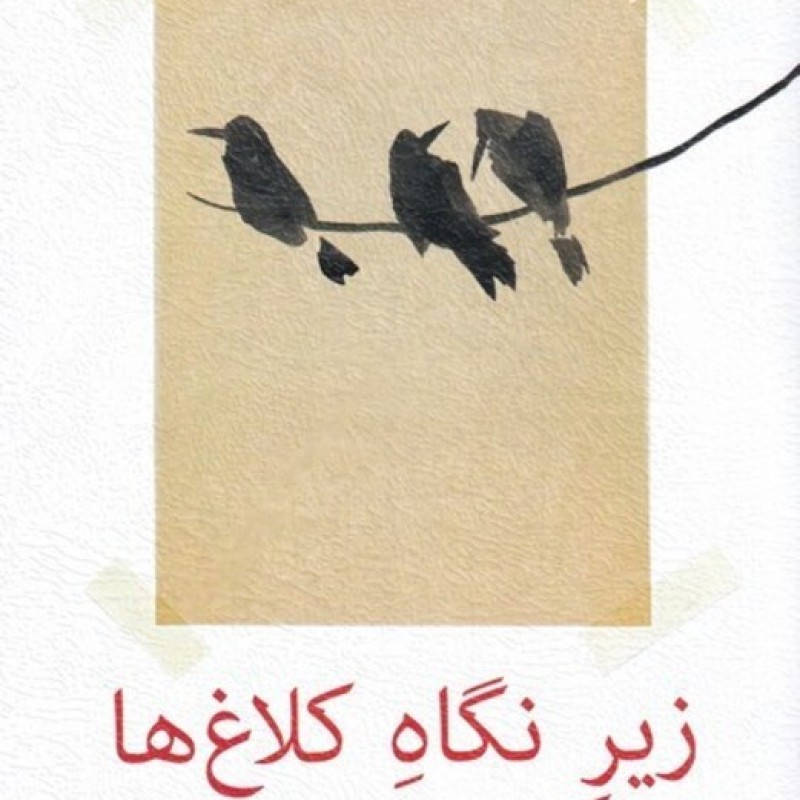 کتاب زیر نگاه کلاغ ها