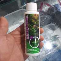کود نیتروژن گیاه آکوریوم