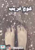 قیمت و خرید کتاب کوچ غریب اثر لیلی عبدلی | ایده بوک