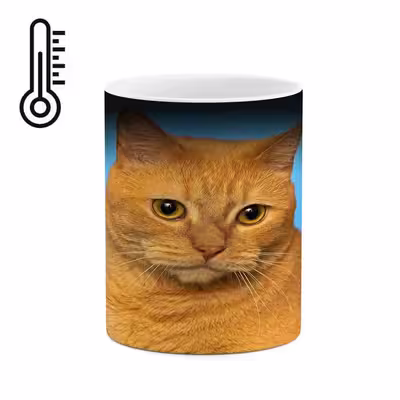 ماگ حرارتی کاکتی طرح گربه مدل mgh16622