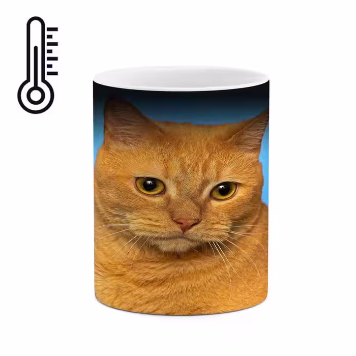 ماگ حرارتی کاکتی طرح گربه مدل mgh16622