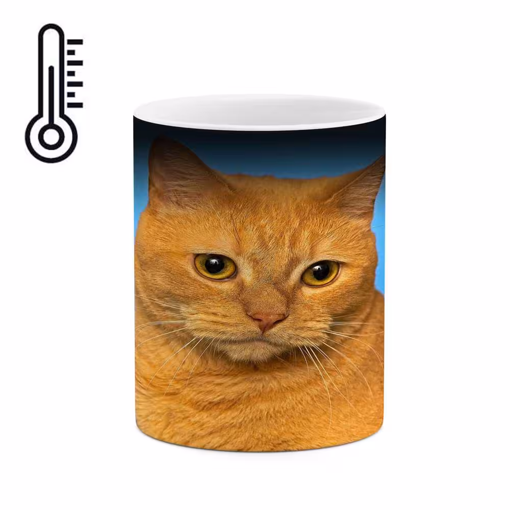 ماگ حرارتی کاکتی طرح گربه مدل mgh16622