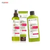 شامپو تثبیت کننده رنگ مو ایو روشه مدل Color-Protection And Radiance حجم 300 میلی لیتر