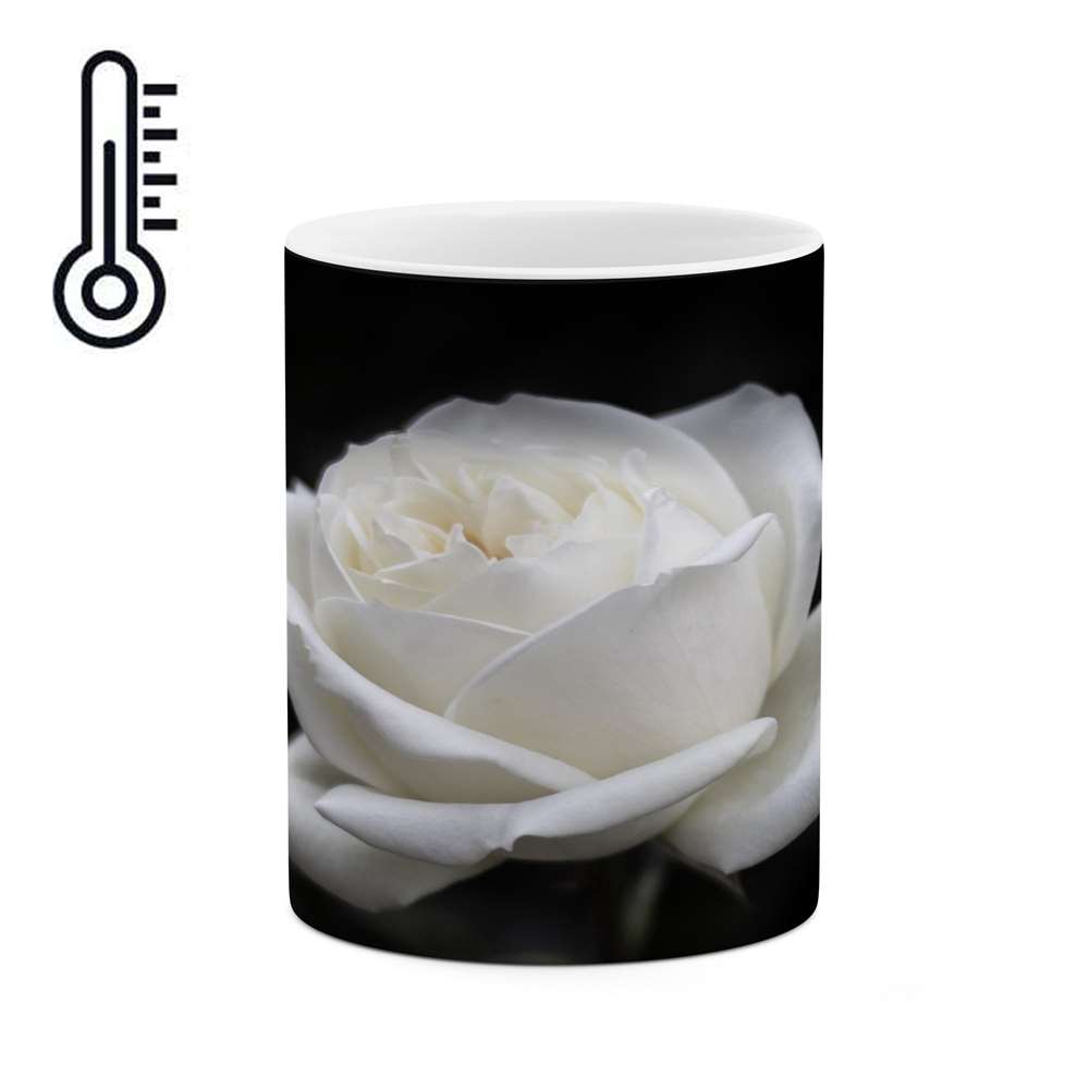 ماگ حرارتی کاکتی طرح گل مدل mgh17108