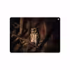 برچسب پوششی ماهوت مدل Owl مناسب برای تبلت اپل iPad Air 2 2014 A1567