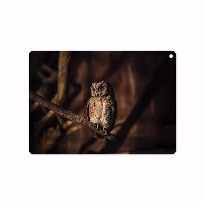 برچسب پوششی ماهوت مدل Owl مناسب برای تبلت اپل iPad Air 2 2014 A1567