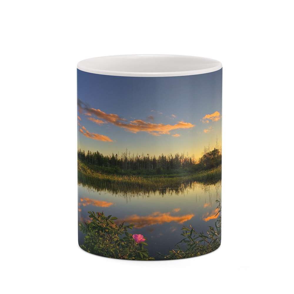 ماگ کاکتی طرح منظره مدل mgh18266