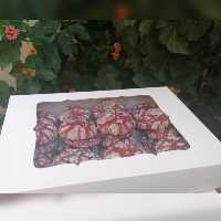 کوکی  ترکدار  ردولوت