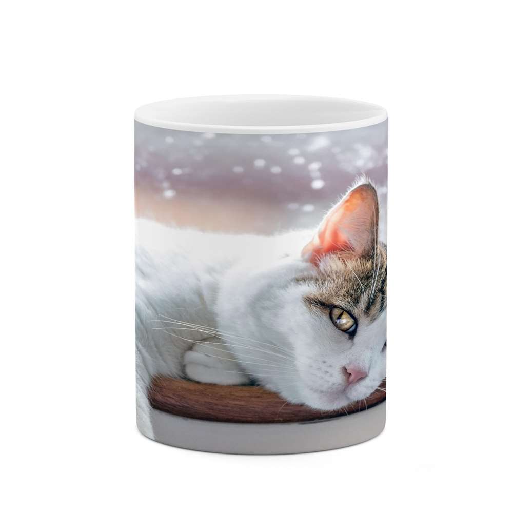 ماگ کاکتی طرح گربه مدل mgs15721