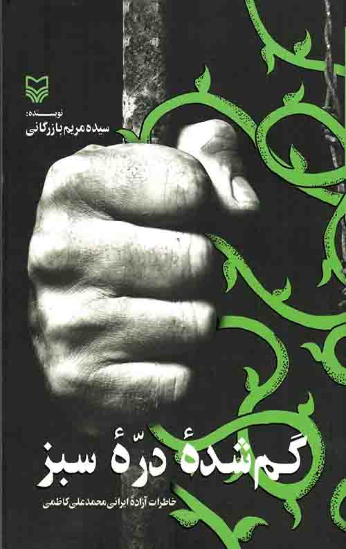 گم شده دره سبز