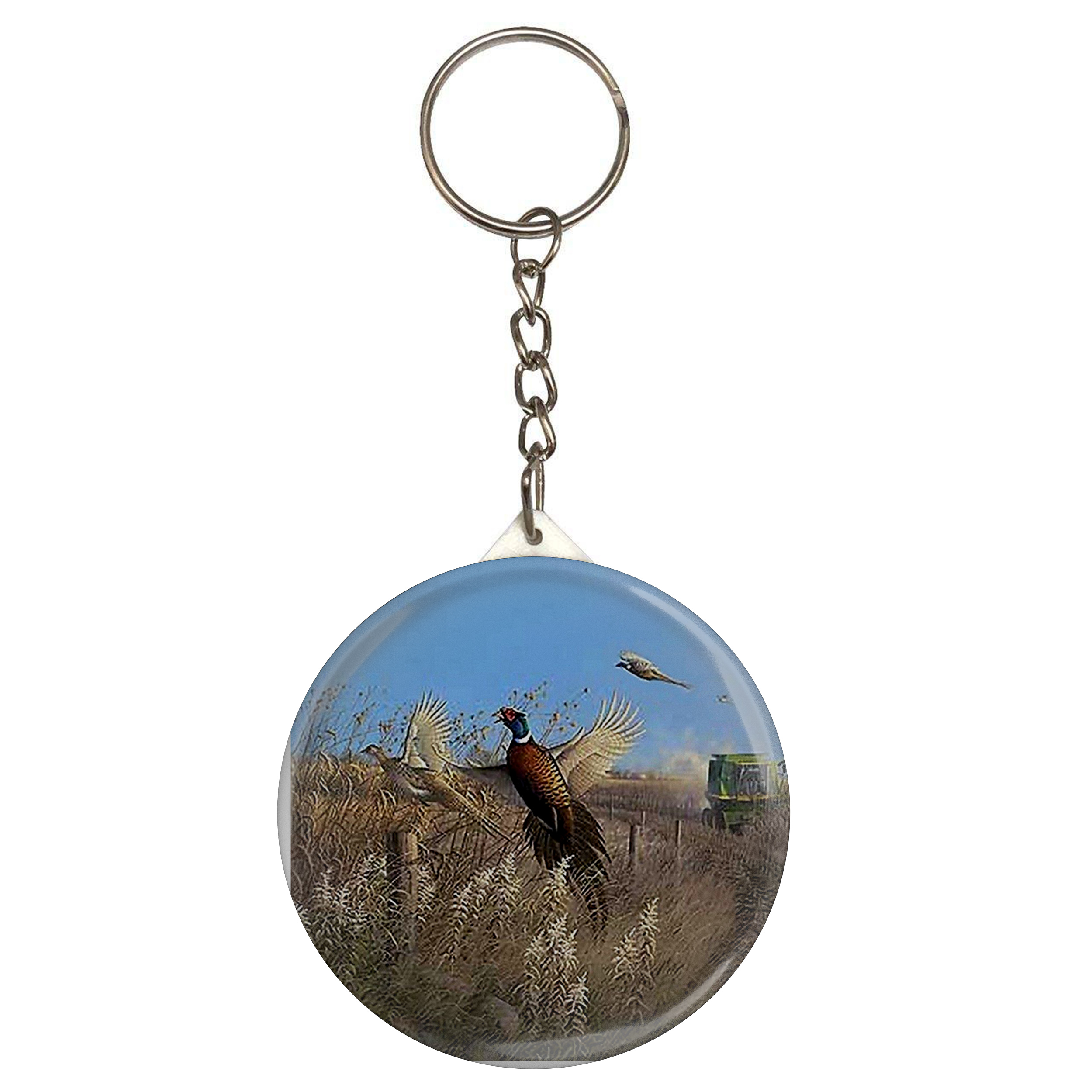 جاکلیدی طرح پرنده مدل S3946