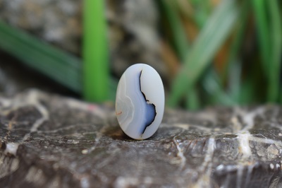 عقیق شجر برزیل