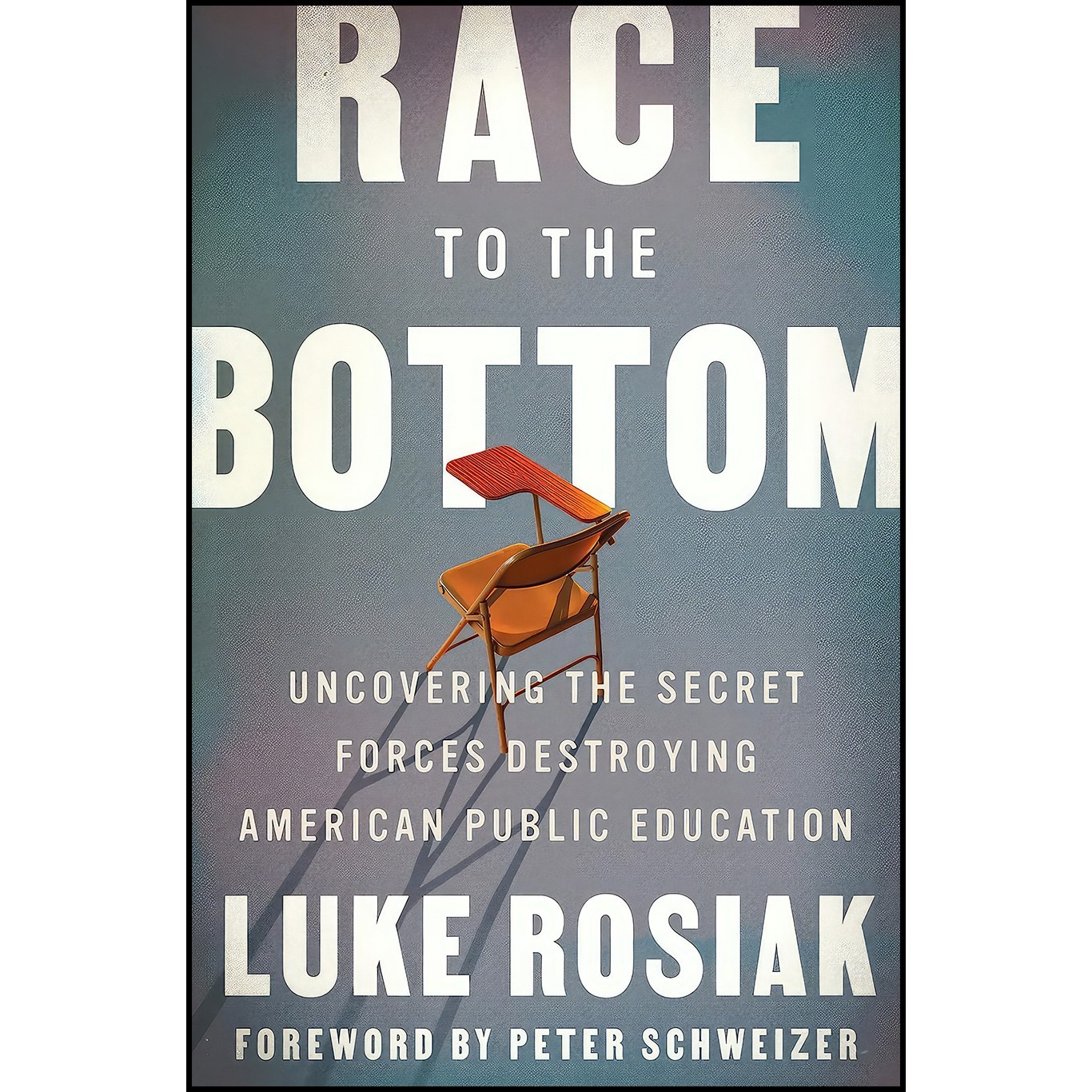 کتاب زبان اصلی Race to the Bottom اثر Luke Rosiak