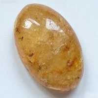 نگین کهربا حشره دار بالتیک طبیعی با شناسنامه معتبر (5)