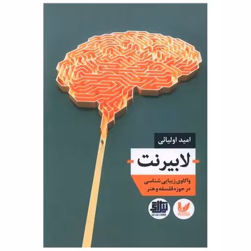 کتاب لابیرنت اثر امید اولیایی