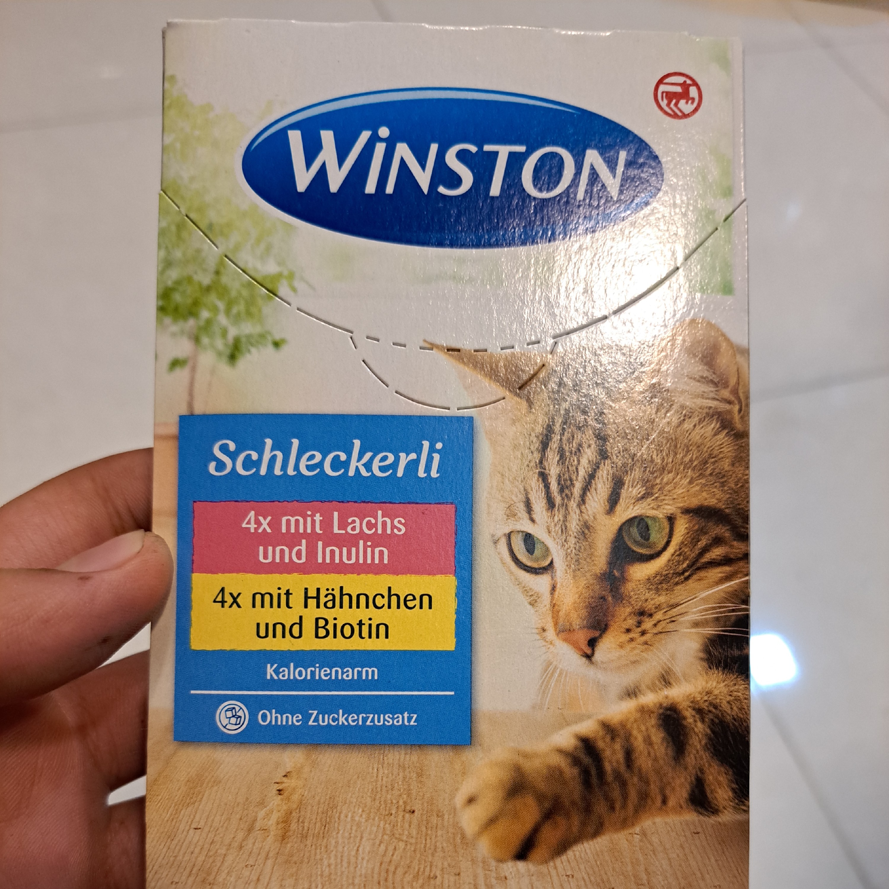 بستنی گربه وینستون