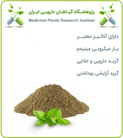 عصاره نعناع دشتی خشک (پودری)