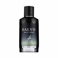 عطر ادکلن مردانه دیور ساواج الحمبرا (Alhambra Dior Sauvage)