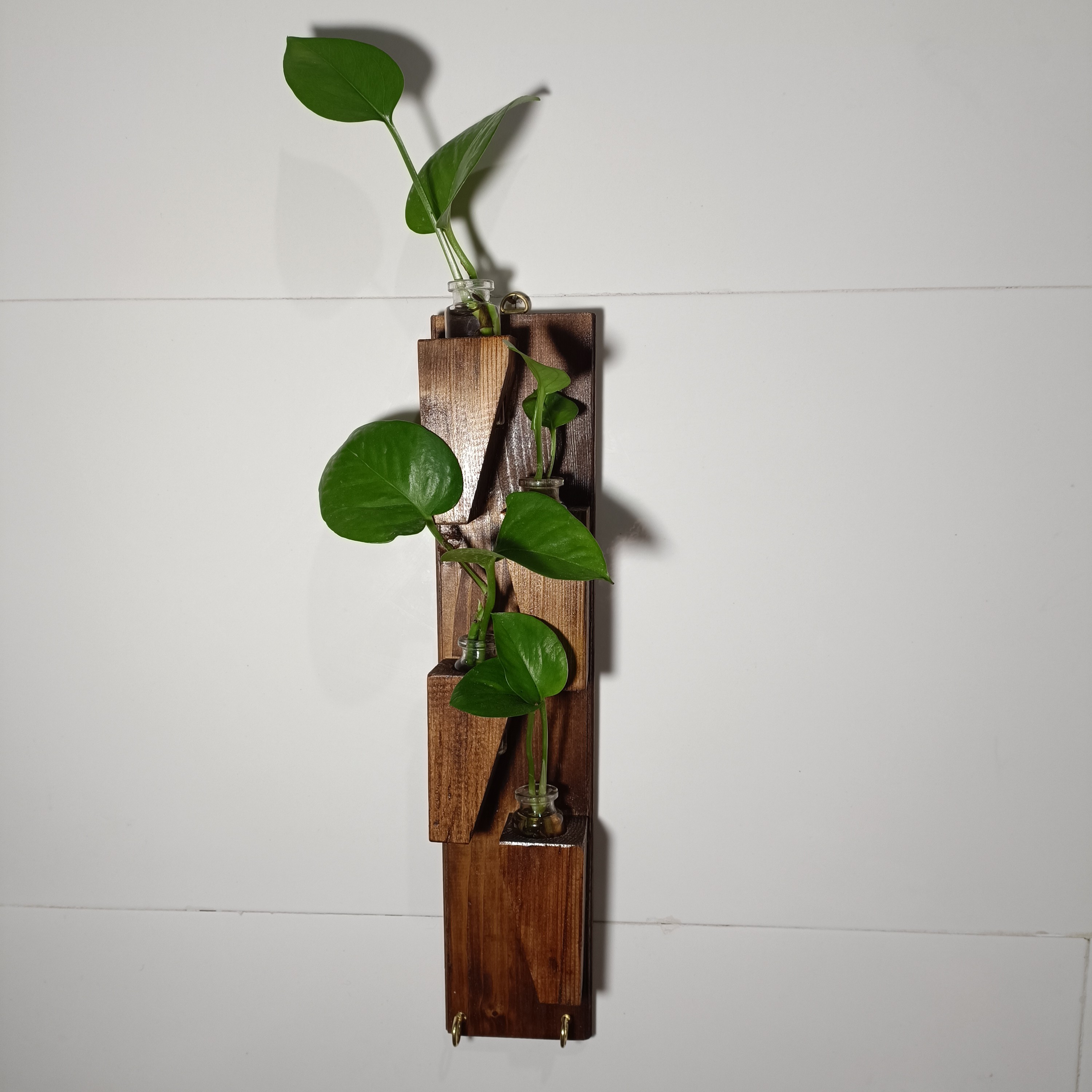 جای کلید با شیشه برای گل جاکلید دیواری