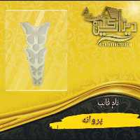 قالب سیلیکونی پروانه