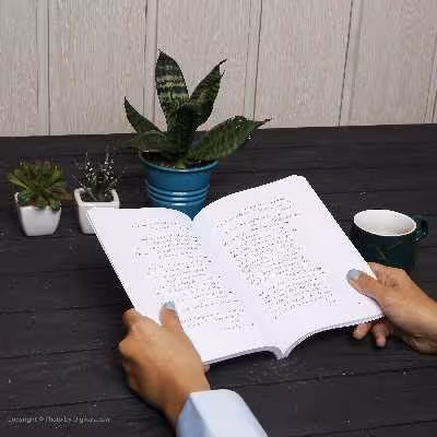 کتاب سیاوش خوانی‌ اثر بهرام بیضائی انتشارات روشنگران و مطالعات زنان