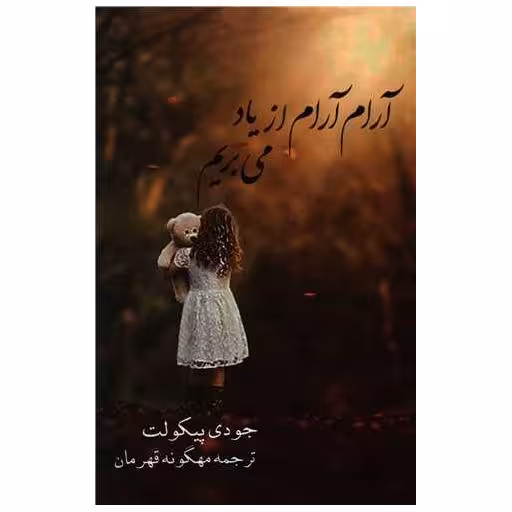 کتاب آرام آرام از یاد می بریم اثر جودی پیکولت