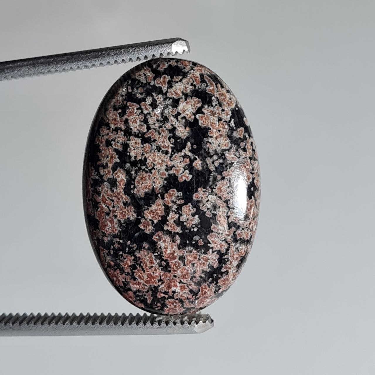 نبولا جاسپر شناسه 5974