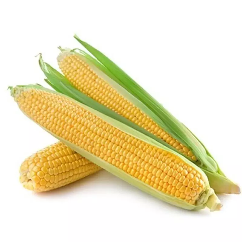 بلال مکزیکی تازه 1 کیلوگرم ± 50gr