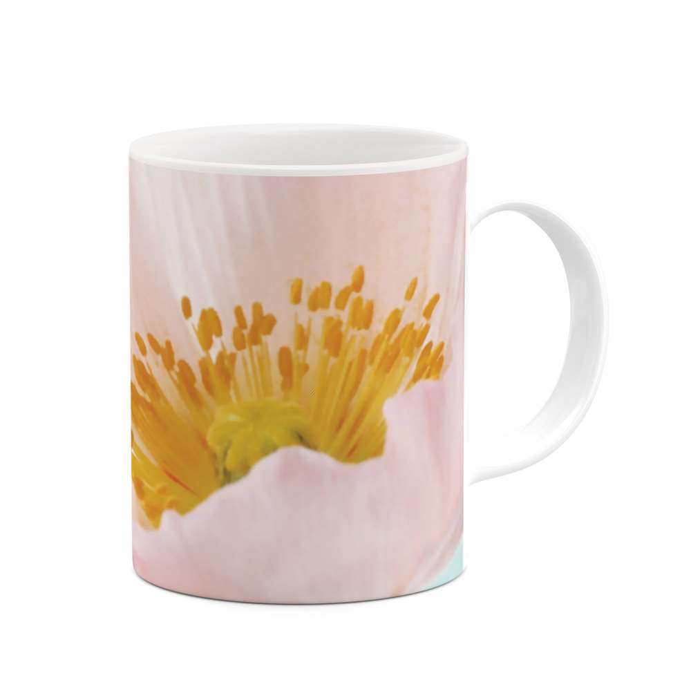 ماگ طرح گل مدل mgs05635