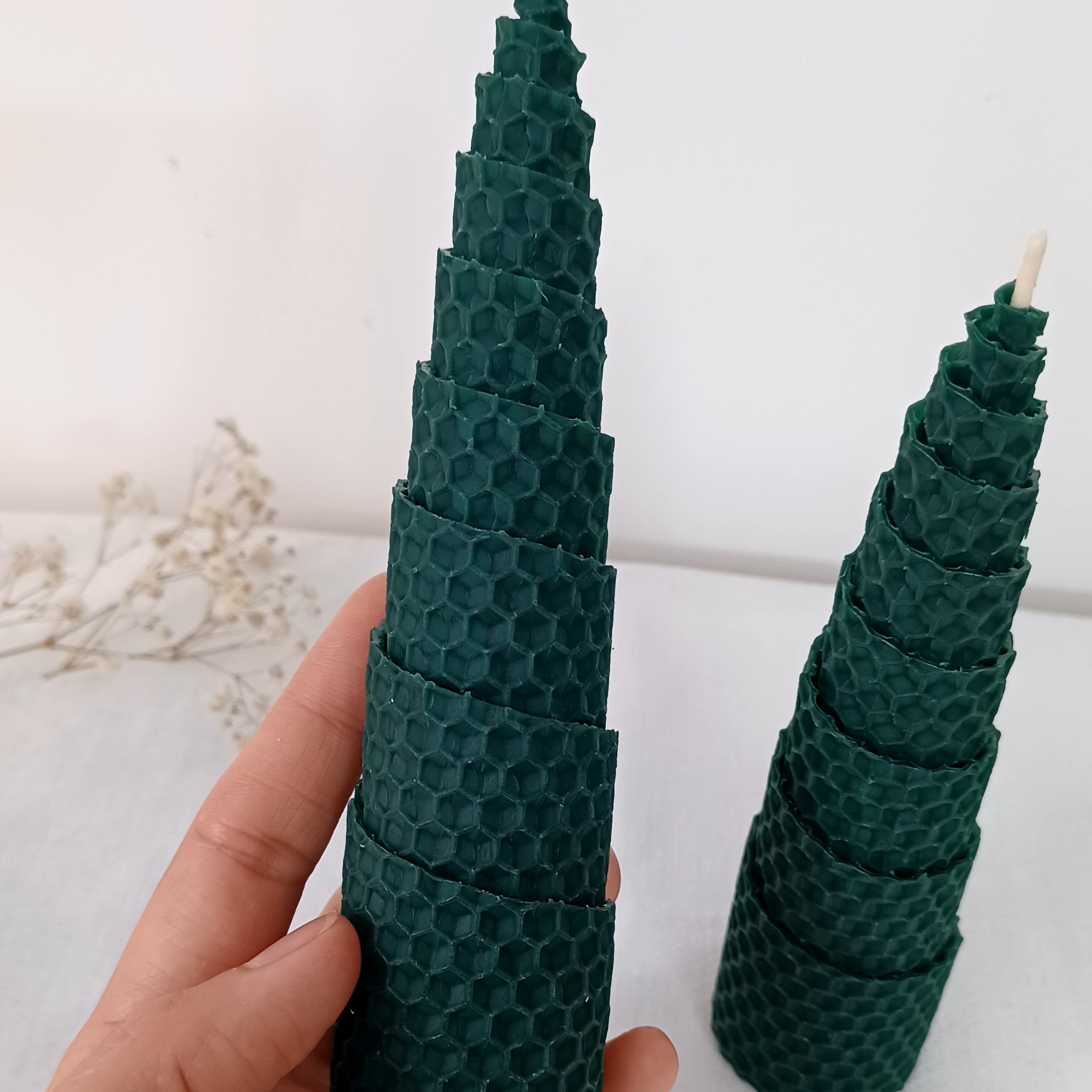 شمع درخت  (شمع کاج) سبز