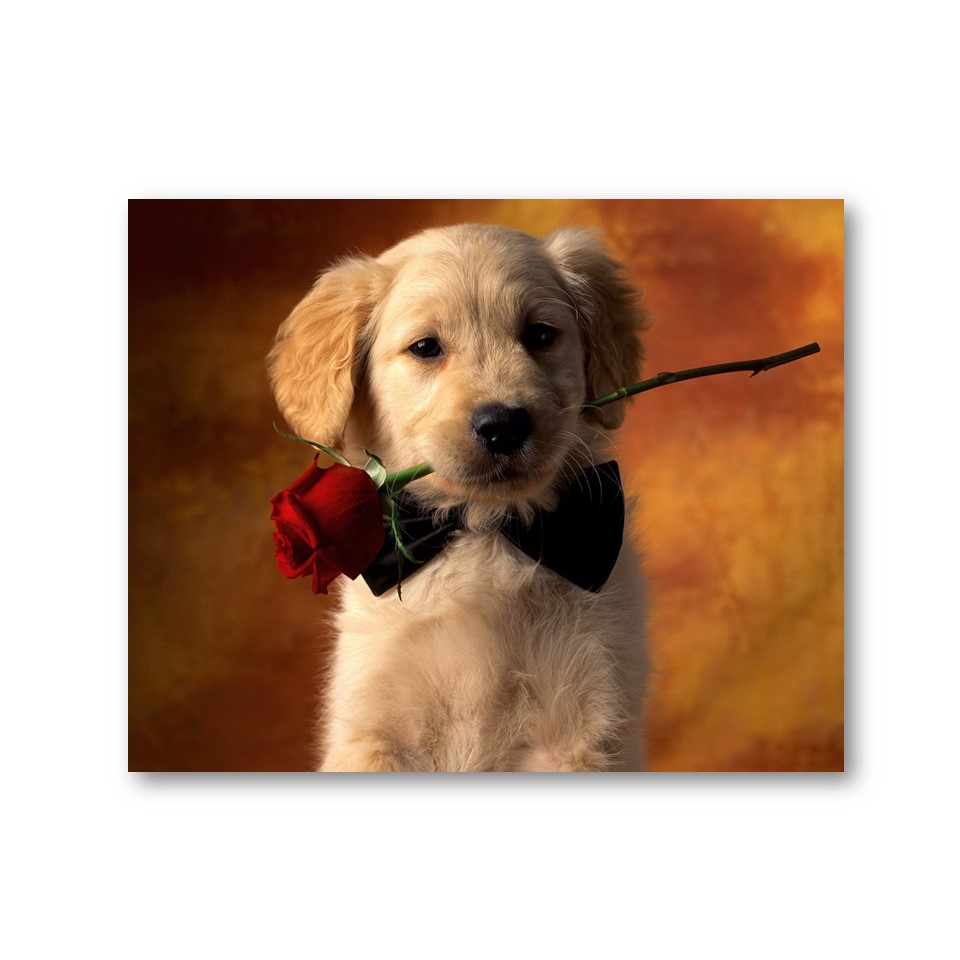 تابلو شاسی  کد 23