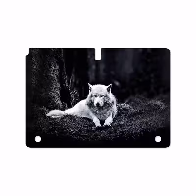 برچسب پوششی ماهوت مدل Dire Wolf مناسب برای تبلت سامسونگ Galaxy Note 10.1 2012 N8010