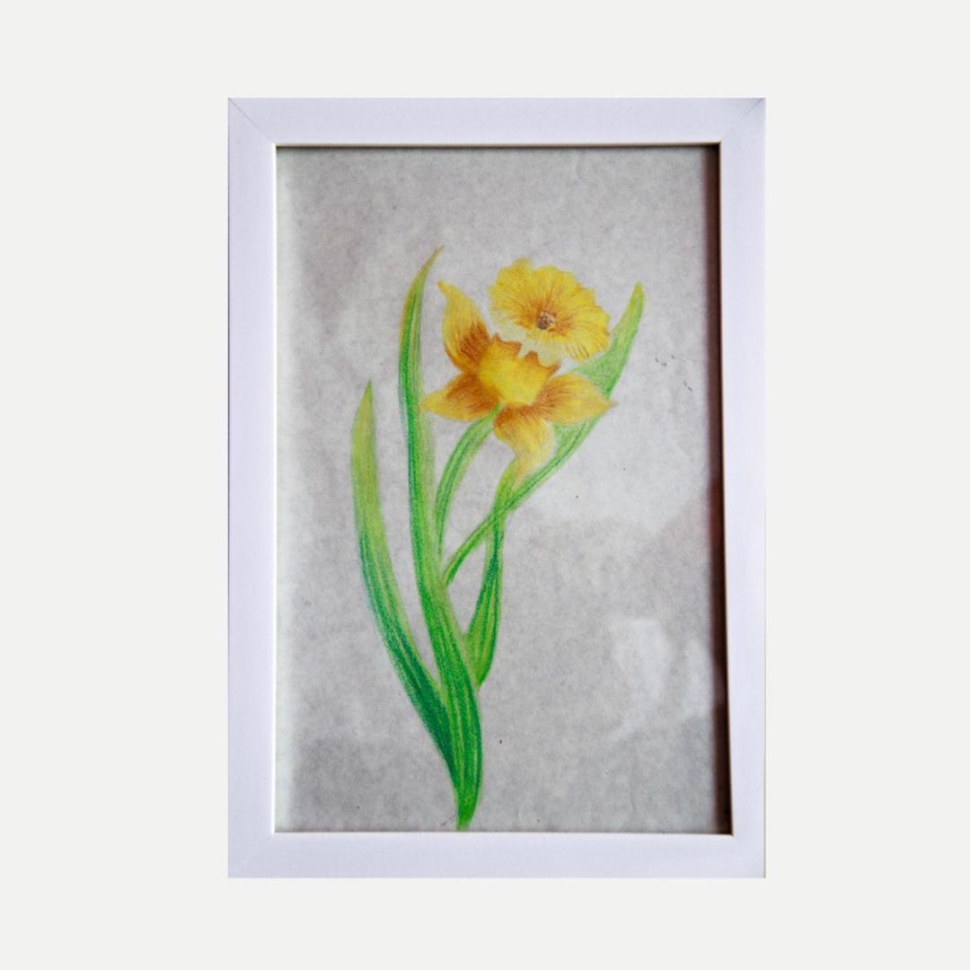 تابلو نقاشى طرح گل نرگس