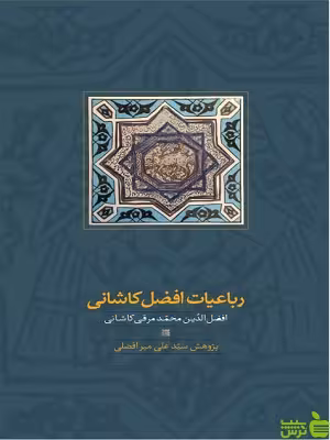 خرید کتاب رباعیات افضل کاشانی نشر سخن | با تخفیف ویژه سیب ترش