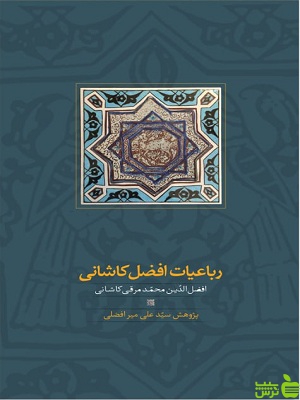 خرید کتاب رباعیات افضل کاشانی نشر سخن | با تخفیف ویژه سیب ترش