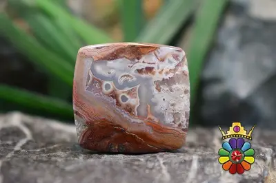 کرزی لس اگات