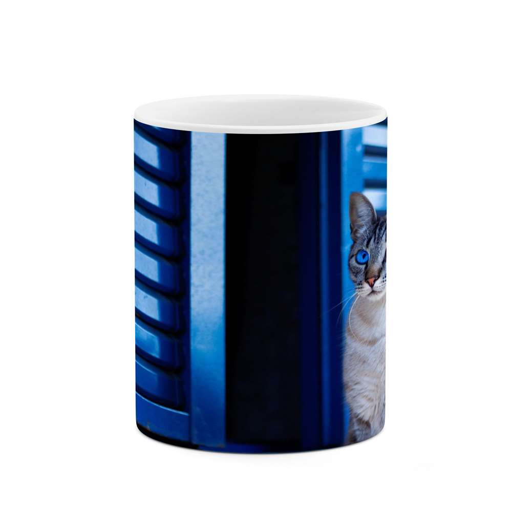 ماگ کاکتی طرح گربه مدل mgs16883