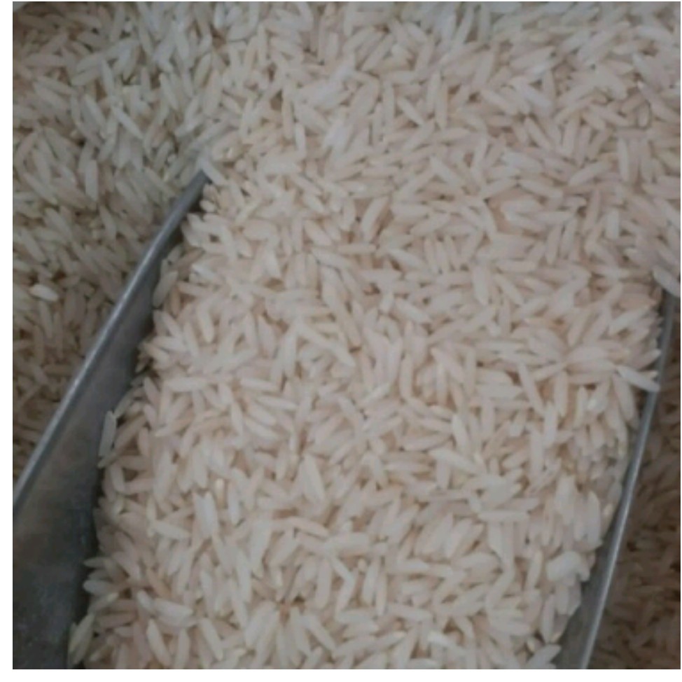 برنج طارم درجه یک اعلا (10 کیلویی)